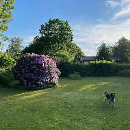 Vakantiehuis Lovely Near Lammefjorden *